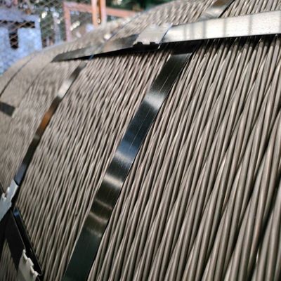 1*7/1*19/7*7/7*19 PVC/PP/PA/TPU Rivestito in acciaio inossidabile