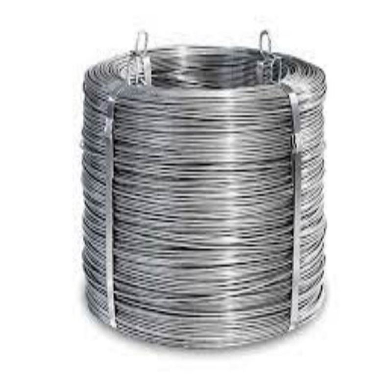 Termine di pagamento CIF 0,25 mm 0,3 mm 0,32 mm 0,35 mm filo di filo di acciaio galvanizzato per personalizzazione